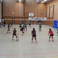 Volleyball LM U20