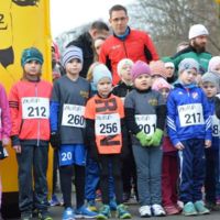 Nikolauslauf 2016
